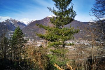 AVVISO D'ASTA - ALIENAZIONE IMMOBILE DI PROPRIETA’ COMUNALE