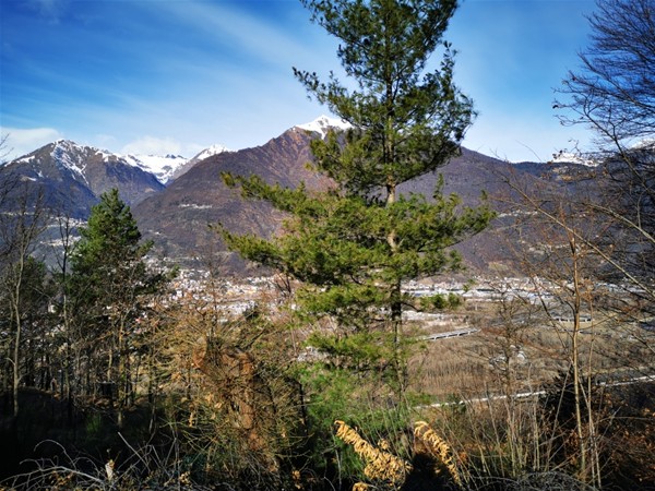 AVVISO D'ASTA - ALIENAZIONE IMMOBILE DI PROPRIETA’ COMUNALE